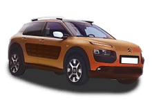 C4 CACTUS